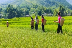 MRsX0FKOI3SmY3FBMYbLFLlUV9Uheqacr6ZXtPHR