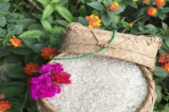 X00sfuMwCaYTfD6t9zi8xndY09dfYwHsk9pPt0kF