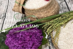 iY0rbw3iDeBWzg2BGCXa0i8w54KXp7qzDReeHln3