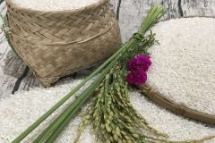 kpLSq5FOa0FcFWkouNAbi1PY6l2gg5pqF8ynZrvg